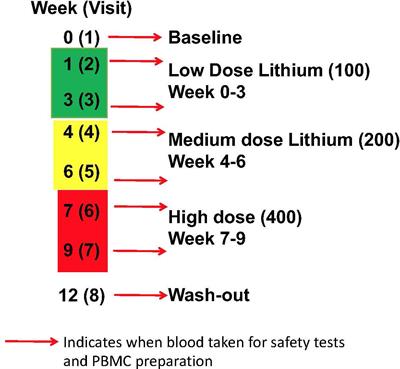 Recruitment, Retainment, and Biomarkers of Response; A Pilot Trial of Lithium in Humans With Mild Cognitive Impairment